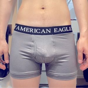 American Eagle Boxer Briefs XS Shiny/Silver